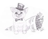 Tuxedo kitty